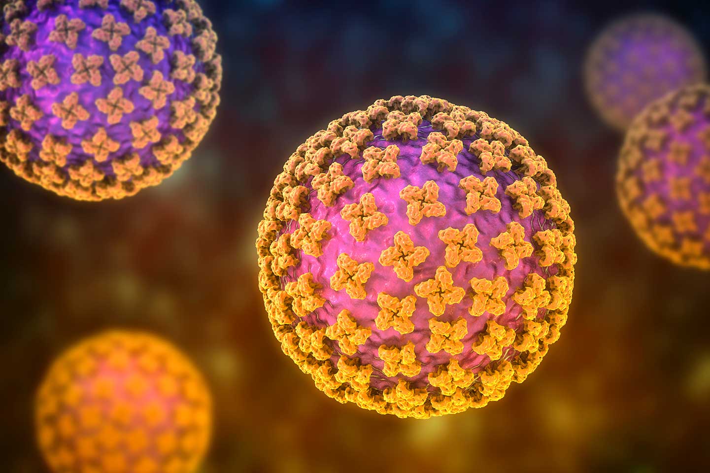 Hantavirus : comment se protéger et reconnaître les symptômes ?
